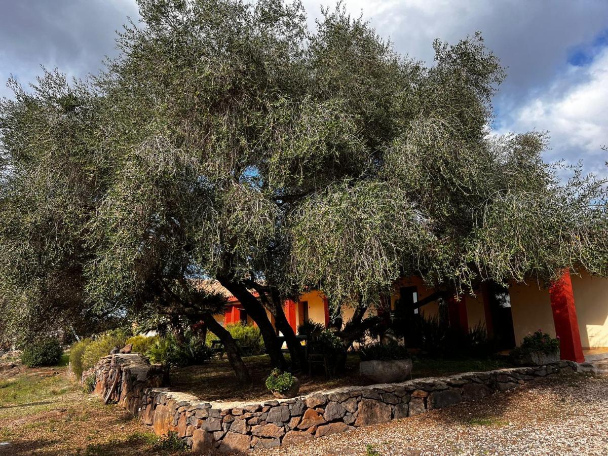 Agriturismo Conca' E Janas Dorgali Exterior photo